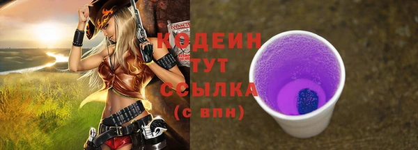 хмурый Богородск