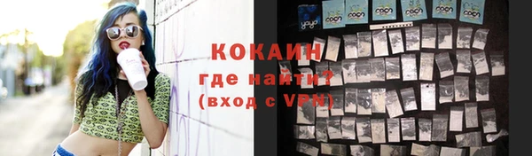 гидра Богородицк