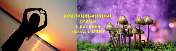 хмурый Богородск