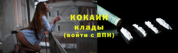 гидра Богородицк