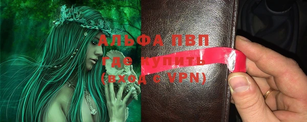 гидра Богородицк