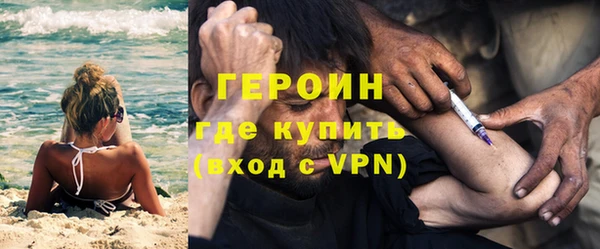 гидра Богородицк