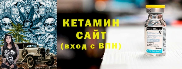 гидра Богородицк