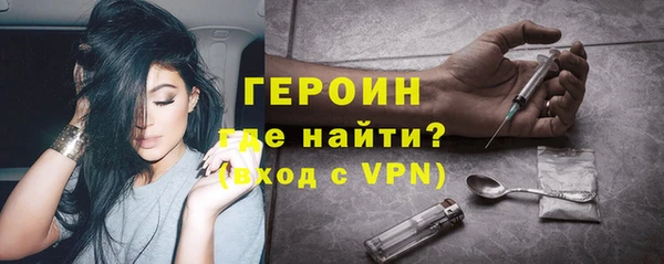 гидра Богородицк