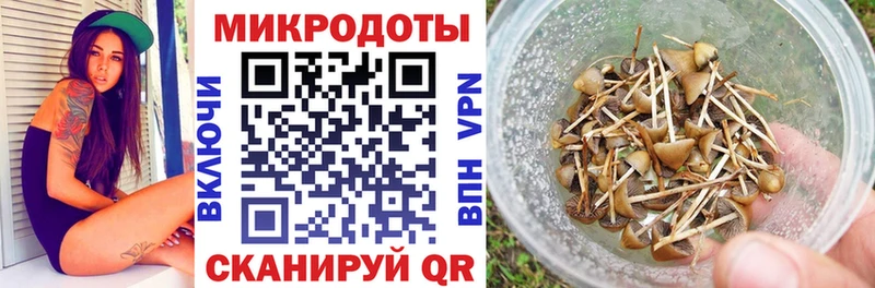 Галлюциногенные грибы MAGIC MUSHROOMS как найти закладки Велиж